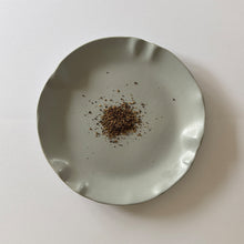 Load image into Gallery viewer, Rockfish Spice Blend